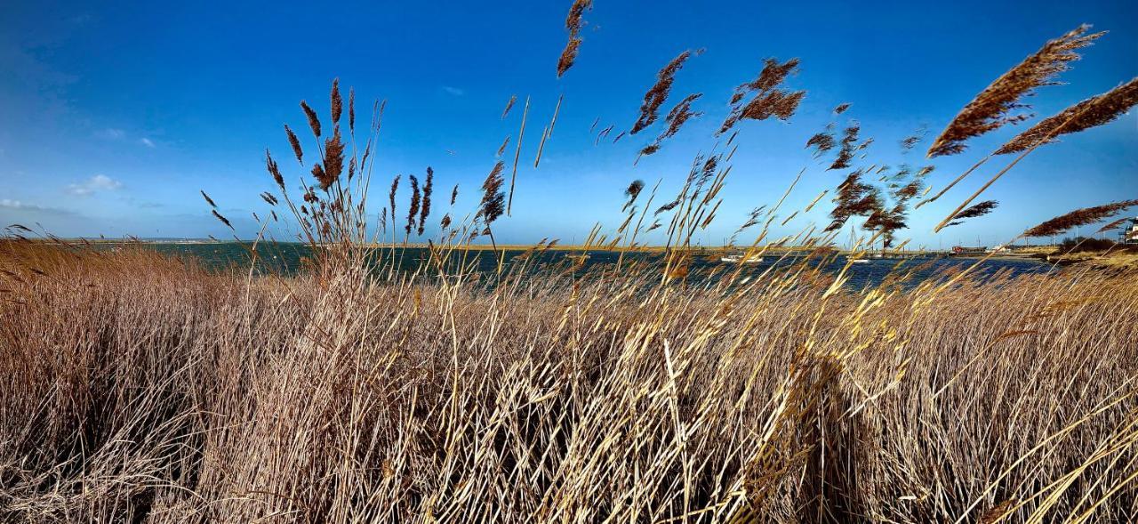 Apartmán Foerdekoje Laboe Exteriér fotografie